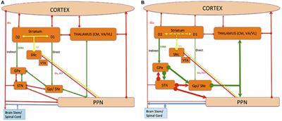 A Review of the Pedunculopontine Nucleus in Parkinson's Disease